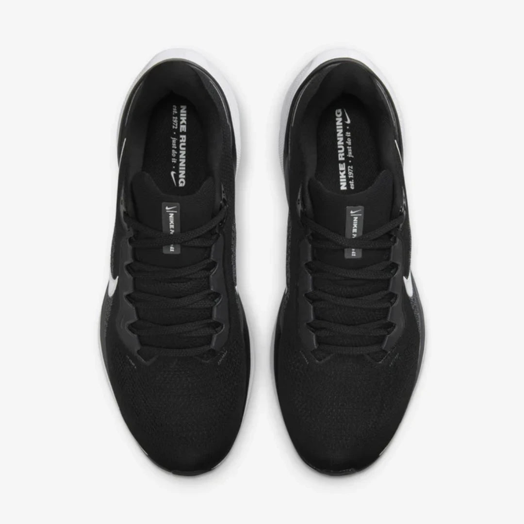 Nike Pegasus 41